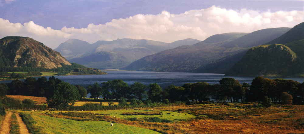 To save this picture as Windows Wallpaper - right click it - then select "Set as Background"